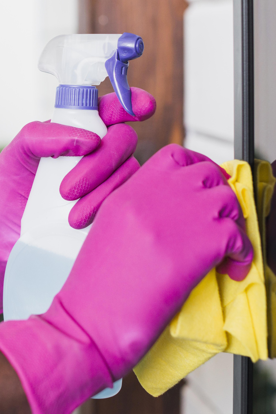 Lic. Johanna Sena - Imagen 2